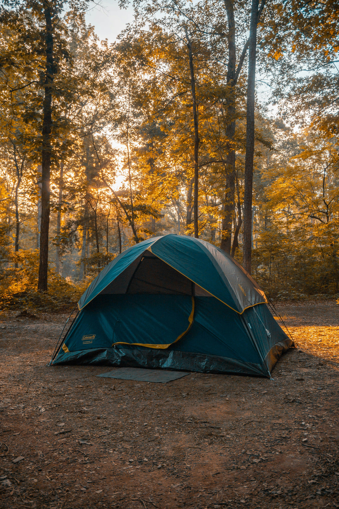 The Architecture of Shelter: Why Tent Design Matters